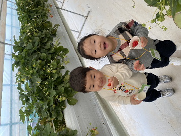 4월 딸기 현장체험학습